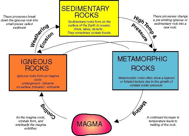 A model that illustrates the origin of the three basic rock types