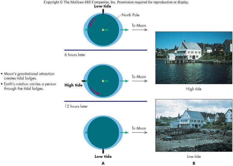High and Low Tides The Earth rotates under water bulges,