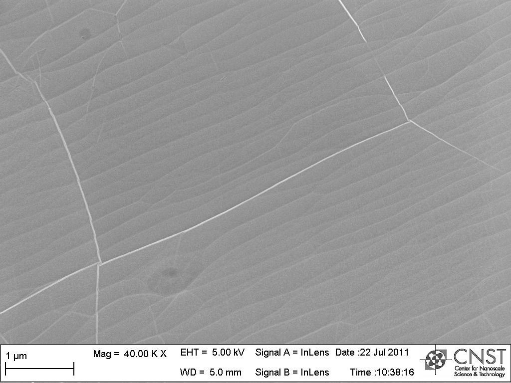 Epitaxial Graphene on NIST 6H SiC sample,