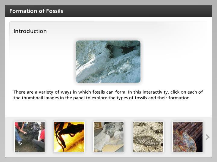 Introduction There are a variety of ways in which fossils can form.