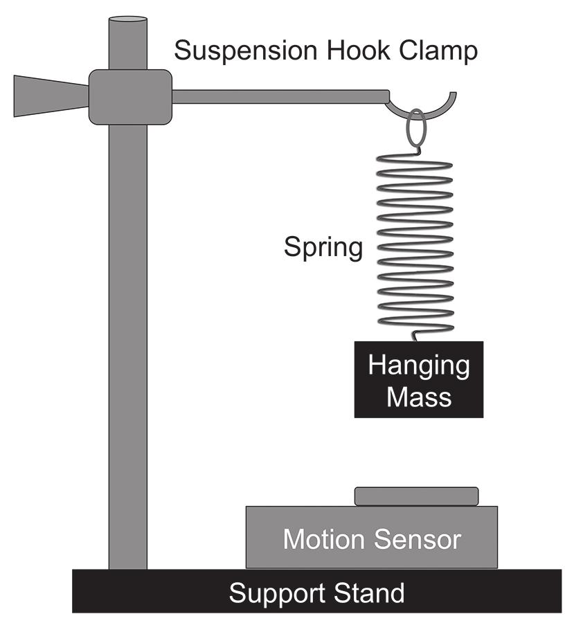 Simple Harmonic Motion and Springs What Is the Mathematical Model of the Simple Harmonic Motion of a Mass Hanging From a Spring?