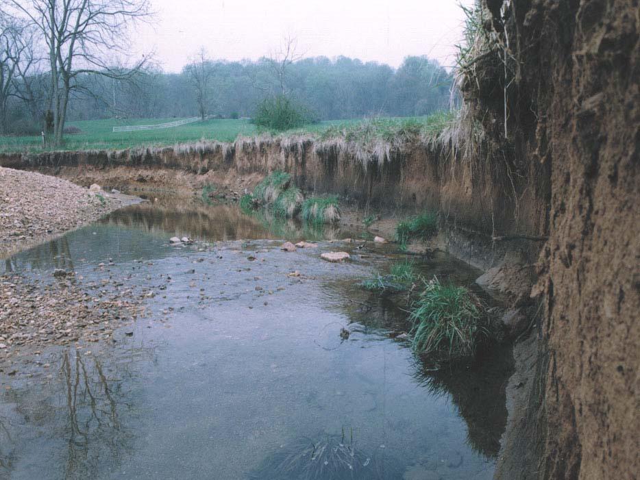 Jacobson, R.B. and Coleman, D.J., 1986. Stratigraphy and recent evolution of Maryland Piedmont Flood Plains. American Journal of Science 286:617-637.