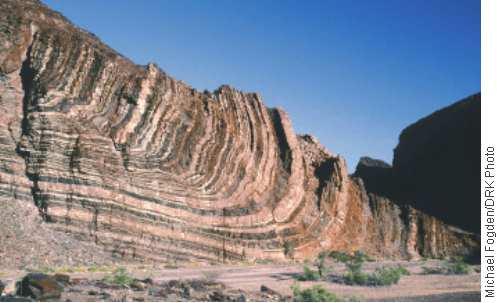 Slide 57 / 106 Principle of Original Horizontality Sedimentary rock forms in horizontal layers. Any changes to this indicate an event that happened after the rock was formed.