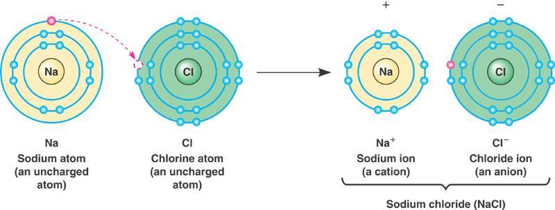 Ionic bonds Non-covalent - no electrons shared One atom donates electron to another Fills outer shell of both atoms