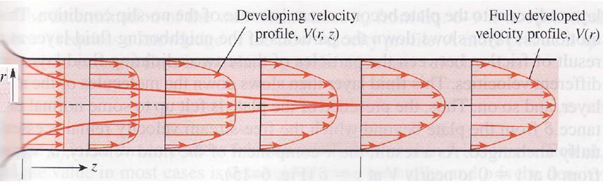 1D, 2D and 3D Flows Consider steady flow of a fluid through a circular pipe attached to a large tank. The fluid velocity everywhere on the pipe surface is zero (because no-slip condition).
