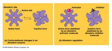 noncompetitive inhibition at an allosteric site: inhibitor binds to