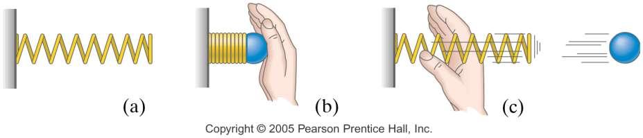 6-4 Potential Energy Potential energy can also be stored in a spring when it