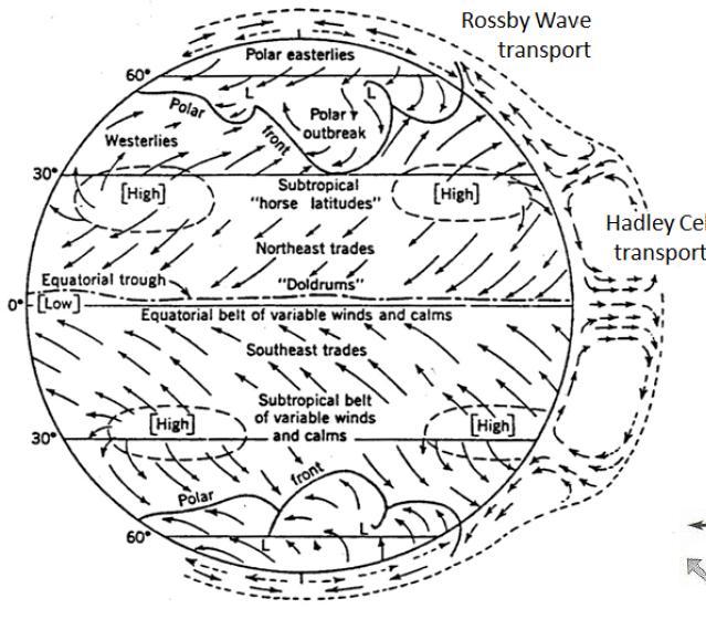 The GENERAL CIRCULATION OF THE ATMOSPHERE ROSSBY WAVE TRANSPORT HADLEY CELL TRANSPORT