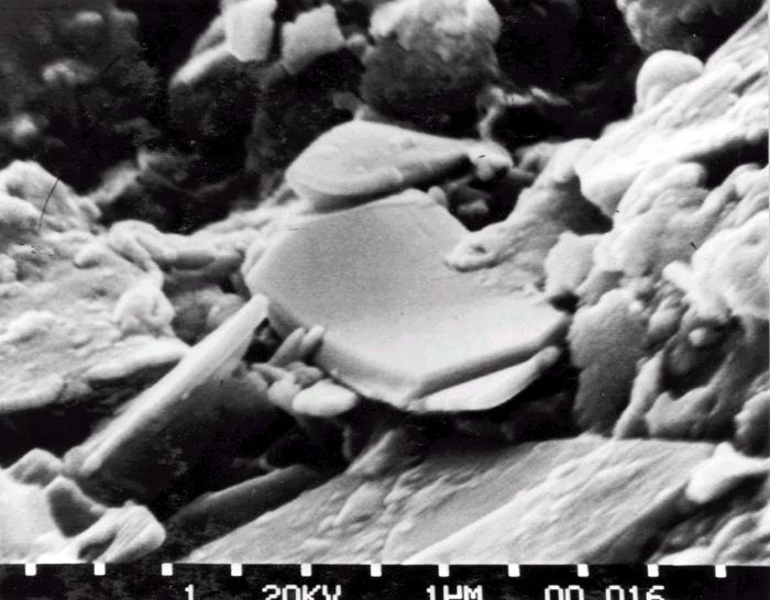 SEM photograph of clay minerals: authigenic chlorite flake from the Watahomigi Formation in Andrus