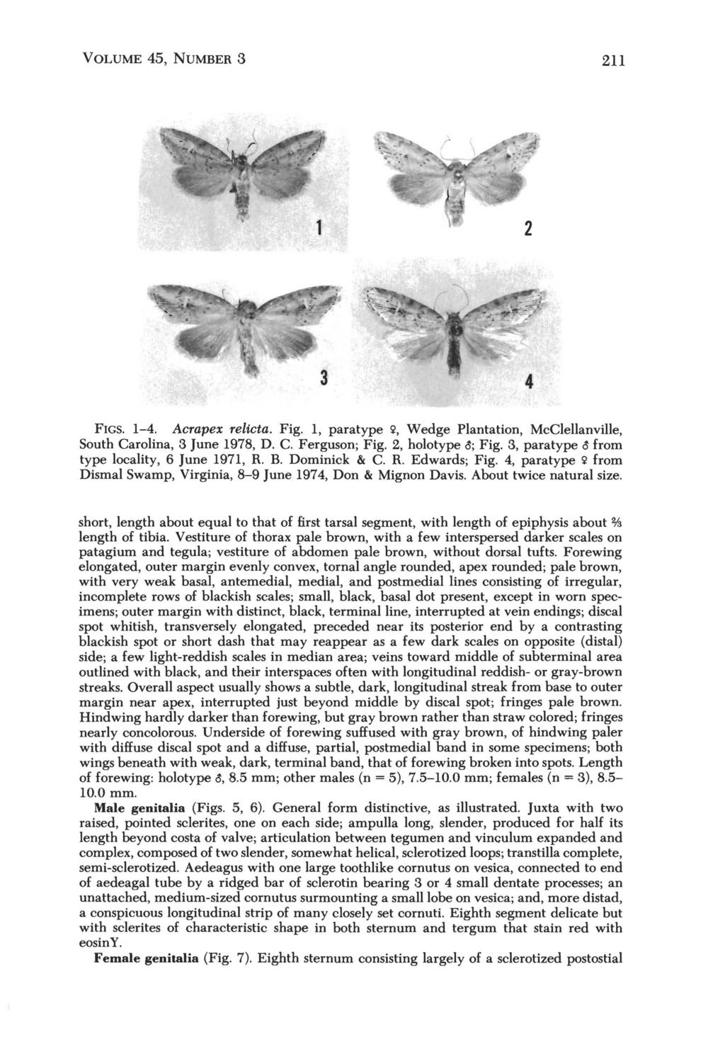 VOLUME 45, NUMBER 3 211 4 FIGS. 1-4. Acrapex relicta. Fig. 1, paratype 'i', Wedge Plantation, McClellanville, South Carolina, 3 June 1978, D. C. Ferguson; Fig. 2, holotype ~; Fig.