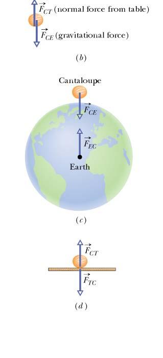 F g y The Gravitational Force: It is the force that the earth exerts on any object (in the picture a cantaloupe) It is directed towards the center of the earth.