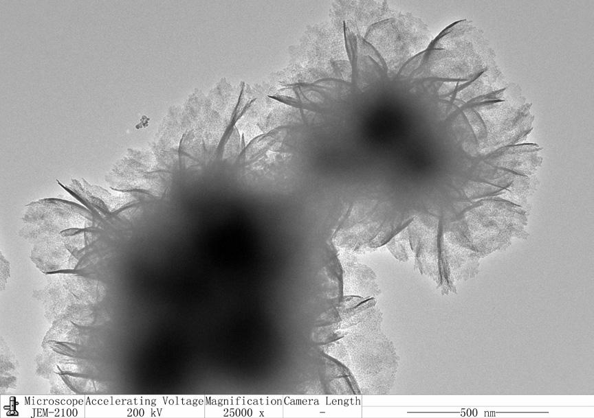SEM images of as-prepared FeBiO 3 The FeBiO 3 nanoflower was further evaluated by TEM pictures. As shown in Fig.