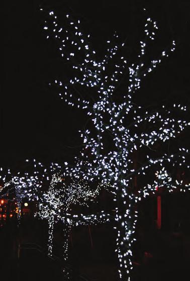 During the dark winter months, many trees in parks and in front of buildings are decorated with strings of decorative lights (Figure 11.16).
