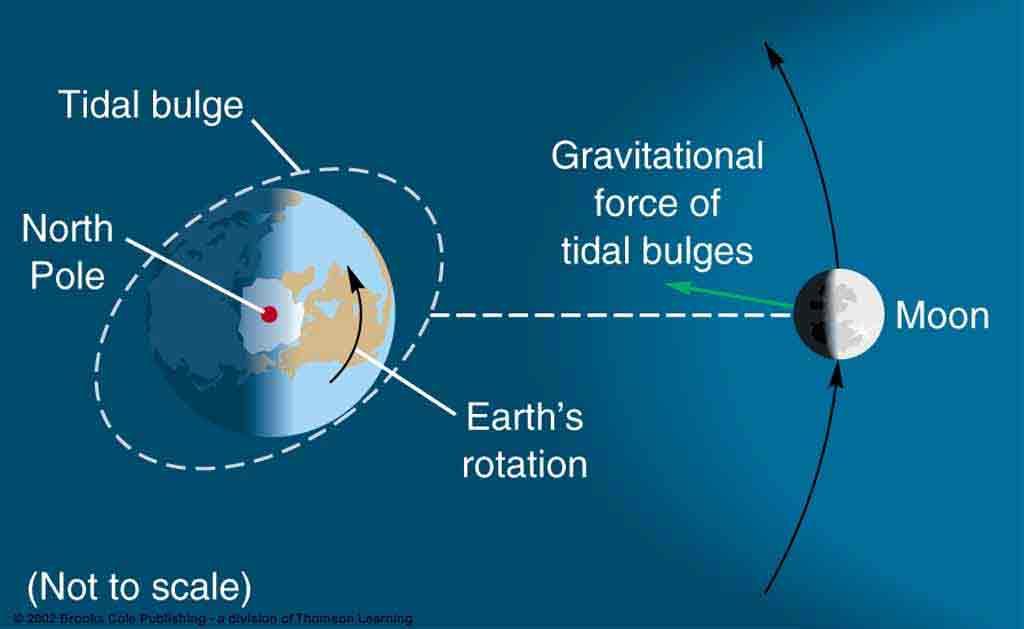 More on tides 1. Tidal friction leads to energy loss. 2. Earth s rotation drags the tidal bulge forward, helping pull the moon (its orbit is increasing in radius).