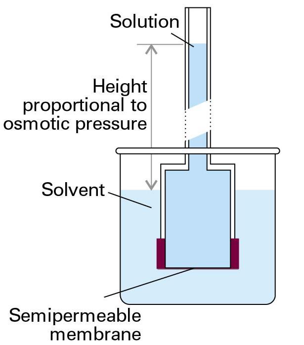 he phenomenon of osmosis (from the Greek word for push ) is spontaneous passage of a pure solvent into a solution separated from it by a semipermeable membrane (permeable to the solvent but not to