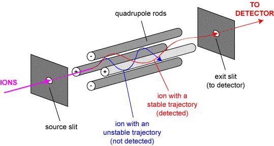 Figure 2.4: Diagram of a quadrupole mass analyzer.[10] Only the ions with the correct mass to charge ratio arrive at the detector, while the others have an unstable path and exit the quadrupole.