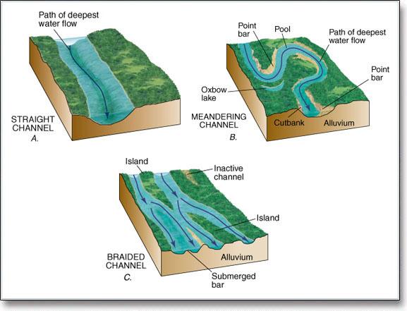 sedimentary rocks (clasts for clastic rocks and dissolved