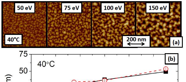 Wrinkling-induced Surface Roughness Formation Wrinkle