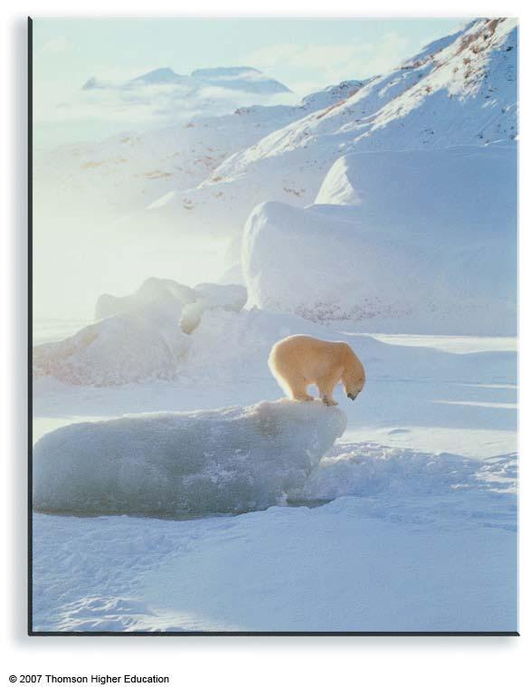 Ch 19 Climate Change Introduction to Climate Change Throughout time, the earth's climate has always been changing produced ice ages Hence, climate variations have been noted in the past what physical