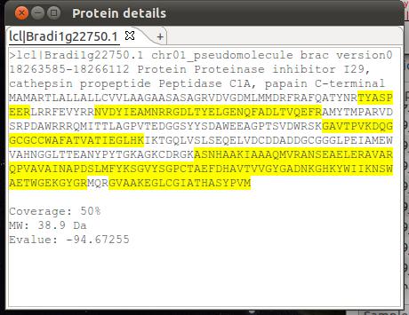 To view this window, you must open it in the menu Windows Protein details.