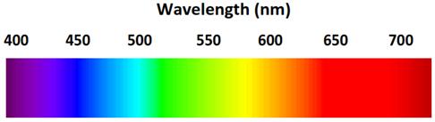 Coloured complexes Why do complex ions from coloured compounds? White light is composed of all the wavelengths of the visible spectrum (shown below).
