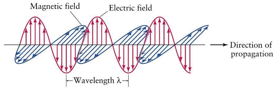 Wave characteristics (1) Wavelength, l (lambda): distance between wave crests (units = meter).