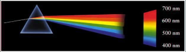 Light forms a spectrum from short to long wavelengths Visible light has wavelengths from 400 to 700 nanometers.
