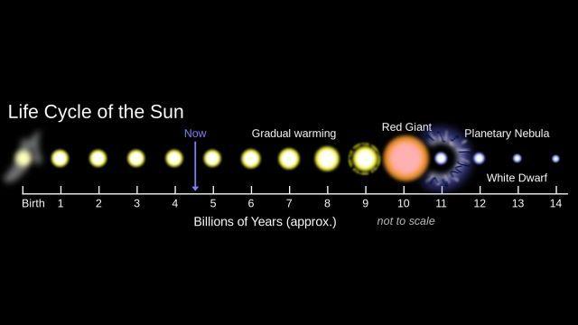 The Life Cycle of Our Sun The Sun will eventually turn into a Red Giant.
