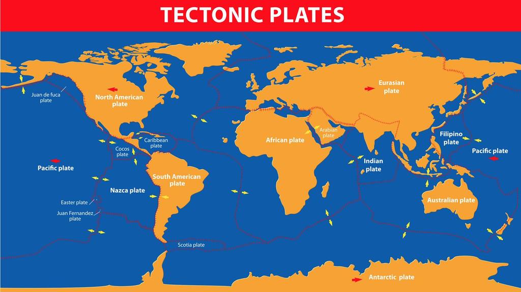 Scientists have figured out the borders around all of the plates on Earth s surface. They have given names to Earth s tectonic plates.