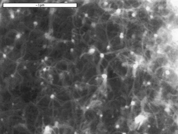 With respect to quality, the only target is the diameter of the carbon nanotubes. The TEM photograph shown in Fig.