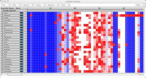 Alignment of ~200 EF-Tu sequences in VMD/MultiSeq G scattered