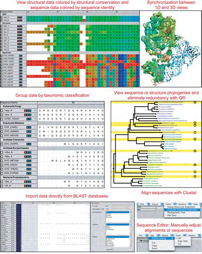 Protein / RNA Sequence Data Metadata Information, Clustal & Phylogenetic Trees RAXml Trees, Genomic Content, Temperature DB Blast & PsiBlast Sequence Editor New SwissProt DB (400K), Greengenes RNA