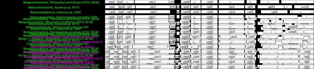 Combined genomic context/phylogenetic tree proc drawgenomiccontextofalignment {outputfilename alignment contextdistance scaling