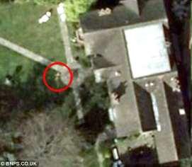 The 89kg dog has been captured on Google Earth's satellite images.