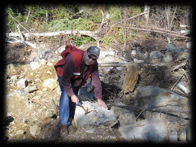 BOULDER DISCOVERIES IN MINERAL EXPLORATION Examples of global mineral discoveries for which tracing boulders or mineralized material to source played a major role Patterson Lake South, uranium,