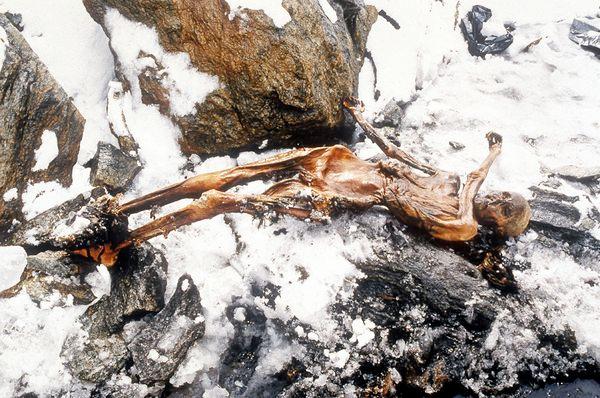 5. Age of the Iceman: Early one afternoon in the fall of 1991 a German couple were hiking in the Italian Alps and noticed something brown sticking out of the ice 8 10m ahead.