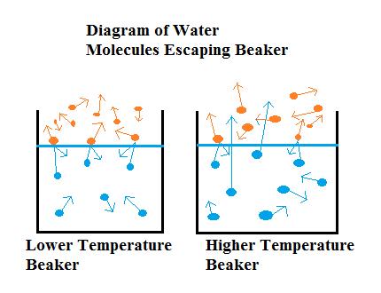 Ding 22 This type of cooling deals with how molecules of water would carry energy directly into the air, rather than the transfer of energy from the water molecules to the energy molecules.