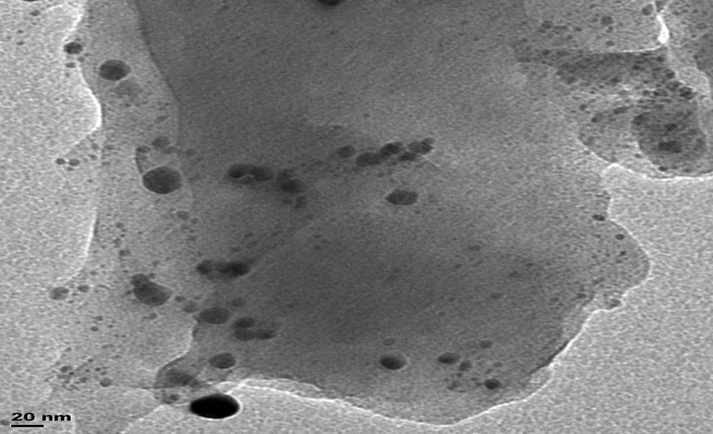 Plate 2: TEM Image of Magnetite Nanoparticles Transmission Electron Microscope (TEM) Analysis Plates 1 and 2 showed Scanning Electron Microscope and Transmission Electron Microscopy respectively.