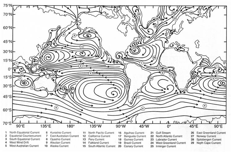 North Atlantic) California Current (in the North Pacific) Benguela Current (in the South Atlantic) Peru Current (in the South Pacific) Western Australian Current (in the Indian Ocean) Westerly-Driven