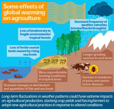 Effects of Climate Change on Agriculture Strategies to Limit Climate Change Strategies are aimed at reducing atmospheric CO2 Clean Energy (Wind, Solar, Geothermal) International Awareness (Paris