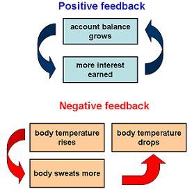 Feedback Loops Ice Age Positive Feedback Loop Low Sunspot Activity = lower temperatures.