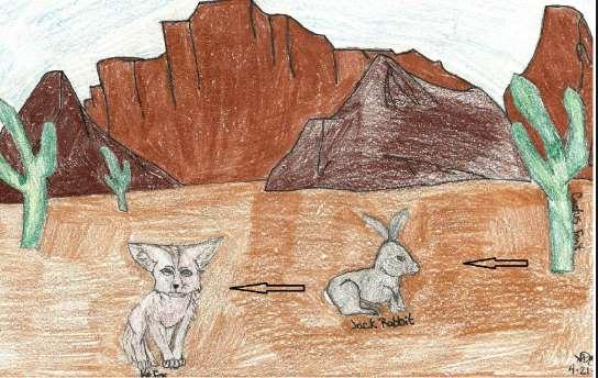 7. The coyote feeds on jackrabbits, which feed on plants. Which of these best describes the jackrabbit in this desert community food web? a.