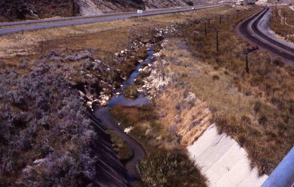 Echo Creek UT Downstream at Stage III