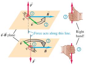 What creates a magnetic field? Answer: MOVING CHARGES What is affected by a magnetic field?