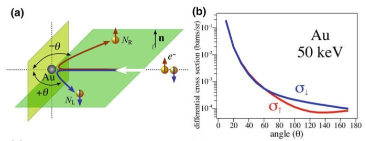Mott Detectors Spin-orbit coupling (SOC): positively charged nucleus provides effective B-field in rest frame of electron: Ze mcr 3 L B = 1 v E= 1 c c r3 v r = Ze Magnetic moment of electron: μ e = g