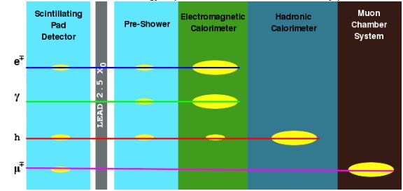 Pad Detector (SPD), -Pre-Shower Detector (PS), - shashlik -type Electromagnetic Cal (ECAL) -scintillating tile iron plate Hadron Cal (HCAL) -The SPD - particles hitting the calorimeter system are