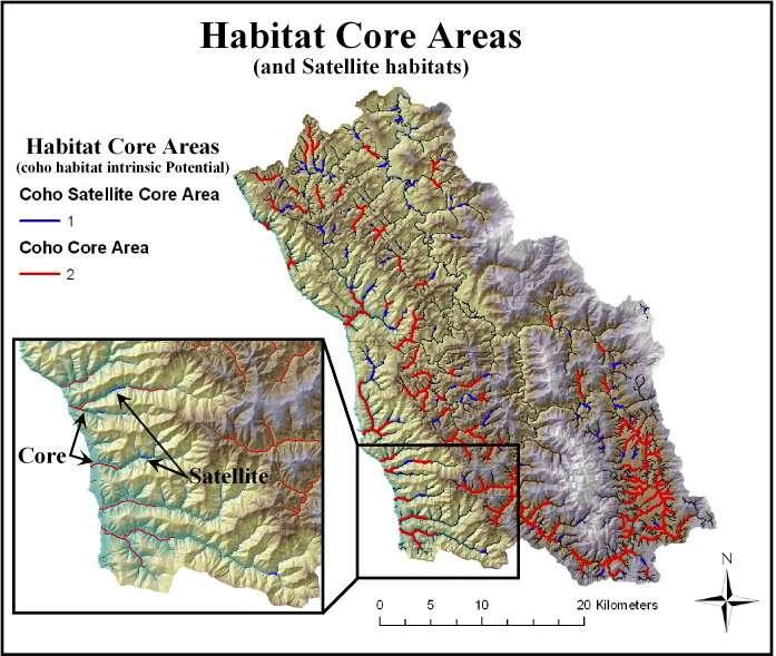 Target restoration at habitat core areas or anchor habitats NetMap Sews habitat patches together (20 200 m scale)