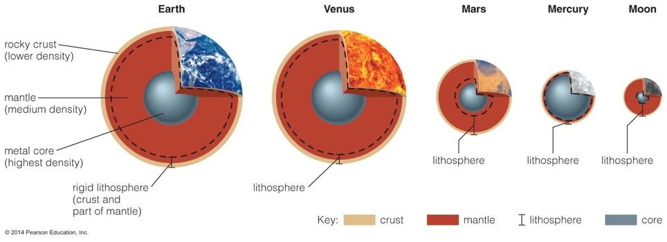 Terrestrial Planet Interiors