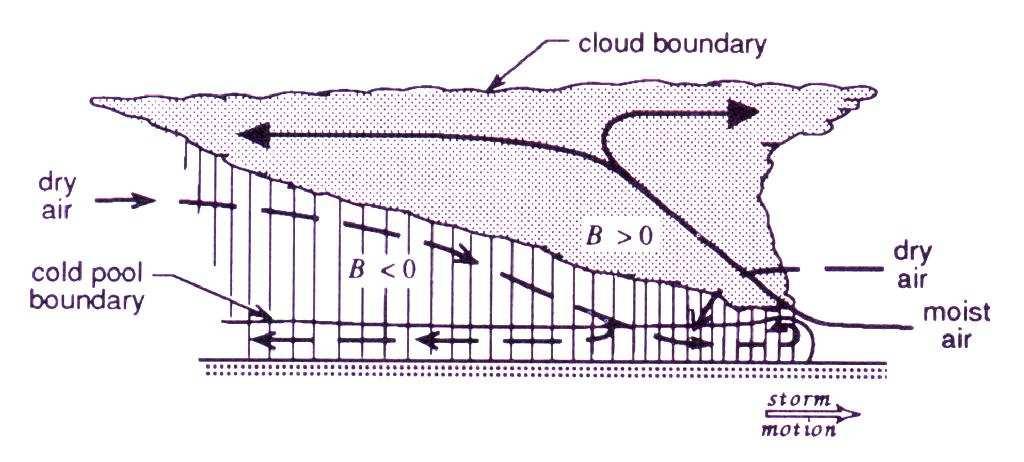 CHAPTER 7. MOIST CONVECTION AND CONVECTIVE SYSTEMS 132 tensive, covering areas 100-200 km in horizontal dimension (region between cells in Fig. 7.8).