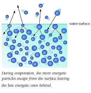 Evaporation Molecules of a liquid are always moving Some are moving faster than others, some slower Molecules with enough energy near the surface of a water body can escape into the atmosphere